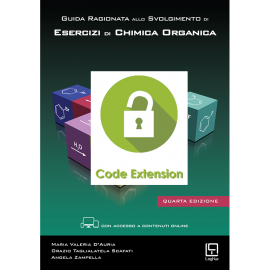 CODE EXTENSION