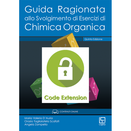 CODE EXTENSION